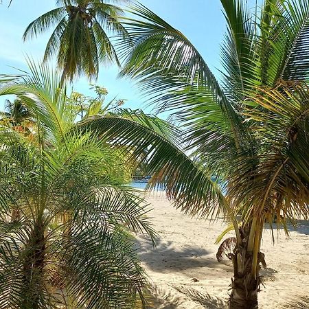 Beach Studio 20 Aparthotel Ocho Rios Exterior photo